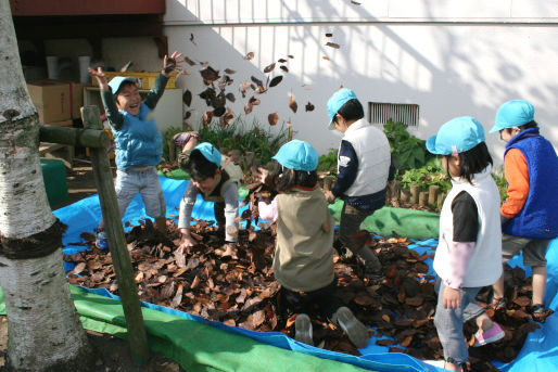 ねむの木保育園