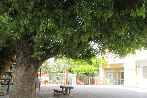 ひなぎく保育園