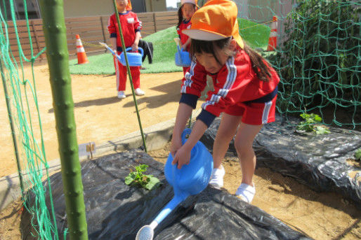 認定こども園 えばたこども園