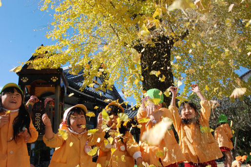 認定こども園 本福寺こども園