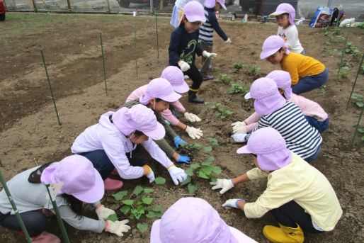 たんぽぽ保育所 北千住園