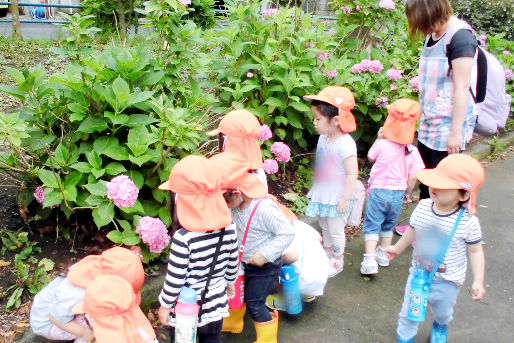 ししのこ保育園 市川