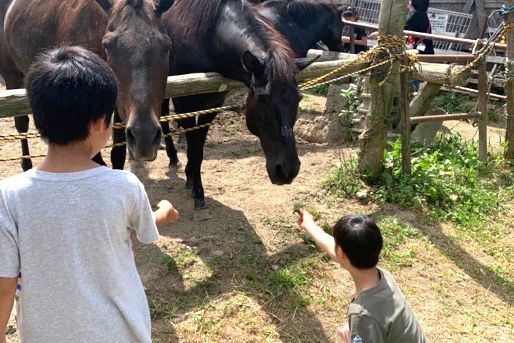 放課後等デイサービスNOAH