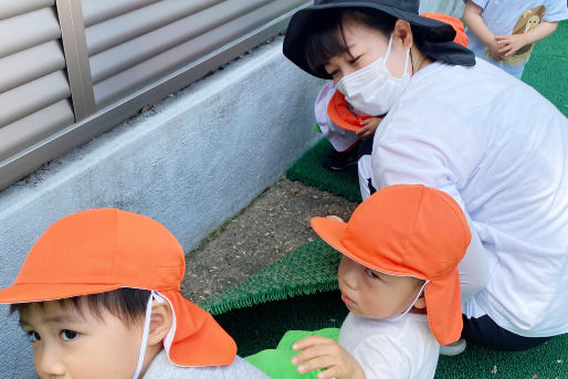 認定こども園 柳保育園