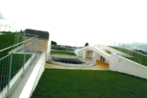 認定こども園 すみれ保育園