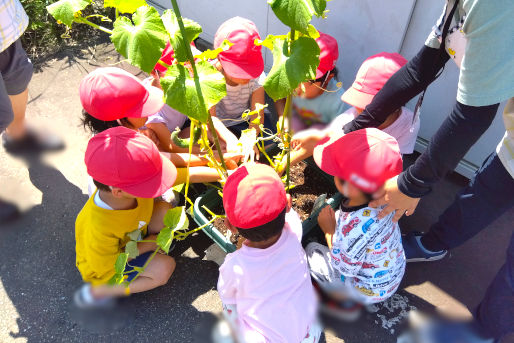 ぷちとまとほいくえん スマイル
