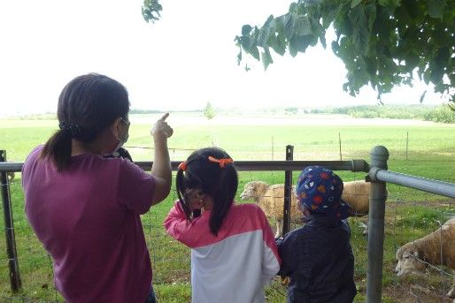 児童発達支援・放課後等デイサービス　ここあーる