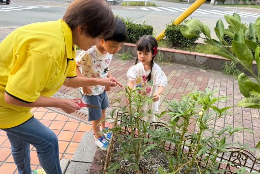 保育所かたつむりランド 西明石園