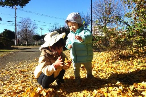 社会福祉法人神教福祉会　ぶどうの木保育園（本園・羽沢・新桜台）