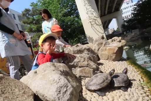 ひよっこ保育室