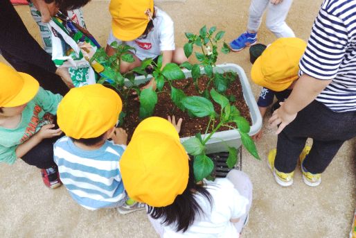 わかたけ保育園(東京都板橋区)