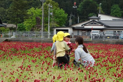 認定こども園 岡保こども園(福井県福井市)