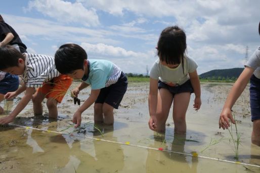 こぐま白雲北保育園(京都府京都市上京区)