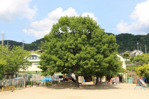 なかよし保育園(京都府宇治市)