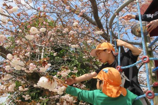 なかよし保育園(京都府宇治市)
