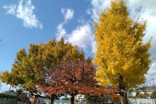 なかよし保育園(京都府宇治市)