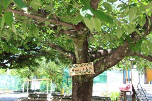 なかよし保育園(京都府宇治市)