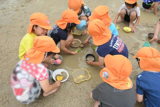 認定こども園桜木保育園(大阪府寝屋川市)