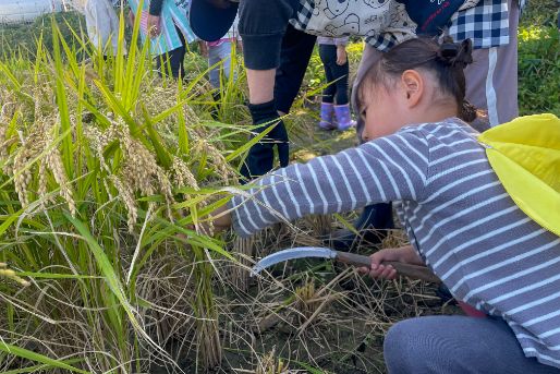 認定こども園 ひがしやまあいじえん(福岡県みやま市)