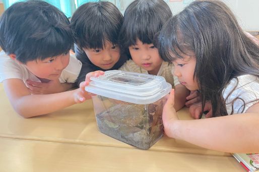 西綾瀬りりおっこ保育園(東京都足立区)