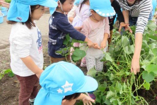 認定こども園 もりの風こども園(滋賀県守山市)
