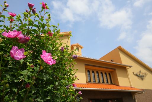 認定こども園 もりの風こども園(滋賀県守山市)