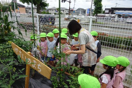 ほし保育園(山形県天童市)