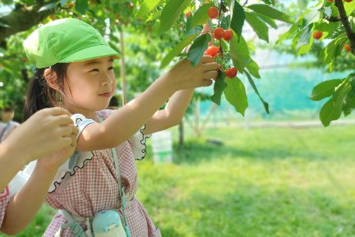 ほし保育園(山形県天童市)