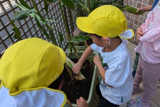 茶屋保育園(兵庫県芦屋市)