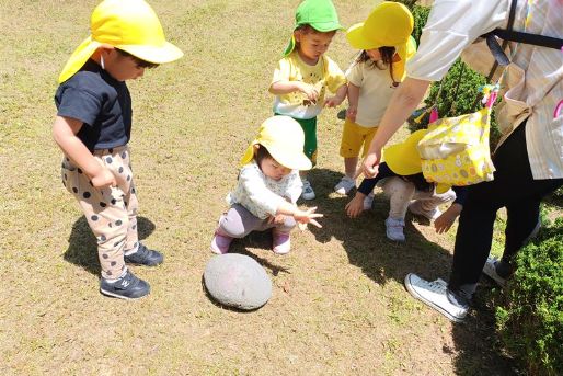 もりのなかま保育園名取増田園サイエンス＋(宮城県名取市)