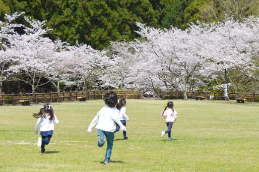 みどり寺山保育園(神奈川県横浜市緑区)