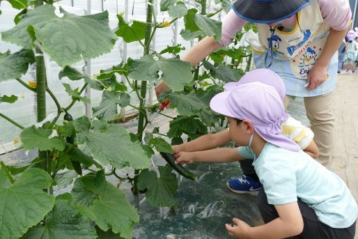 富沢アリス保育園(宮城県仙台市太白区)