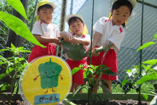 認定こども園 こばとの里こども園(埼玉県越谷市)