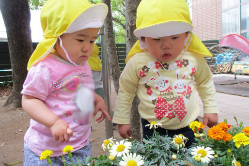 マーマセンター北保育園(神奈川県横浜市都筑区)