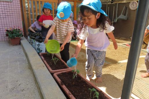 おおしま保育園(愛知県)