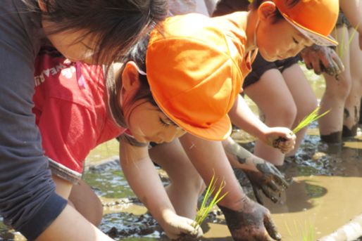 せいか幼稚園(埼玉県さいたま市西区)