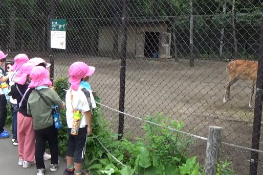 保育所型認定こども園 札幌未来保育園(北海道札幌市北区)