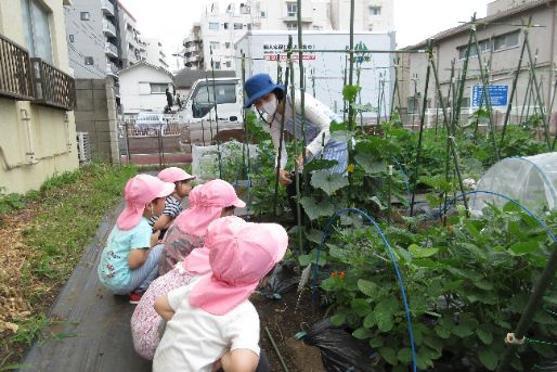 共同保育所 コロちゃんの家(東京都目黒区)