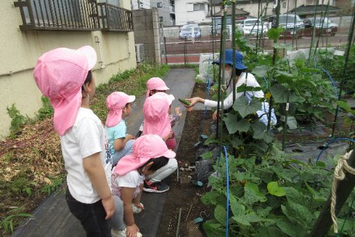 共同保育所 コロちゃんの家(東京都目黒区)