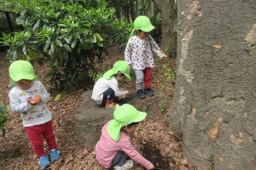 共同保育所 コロちゃんの家(東京都目黒区)