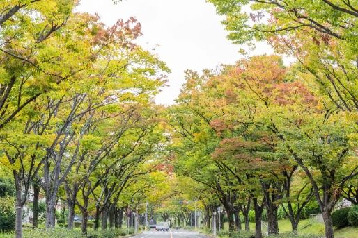 みずき敬愛保育園(大阪府枚方市)