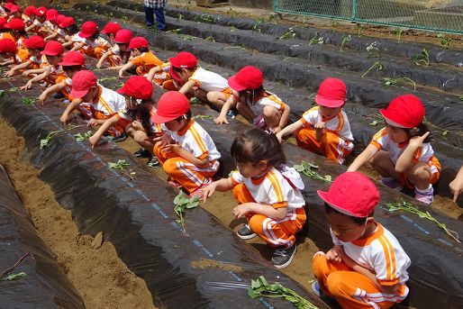 こまどり幼稚園(千葉県千葉市中央区)