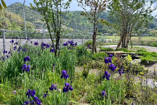 認定こども園 菅内幼稚園(山口県山口市)