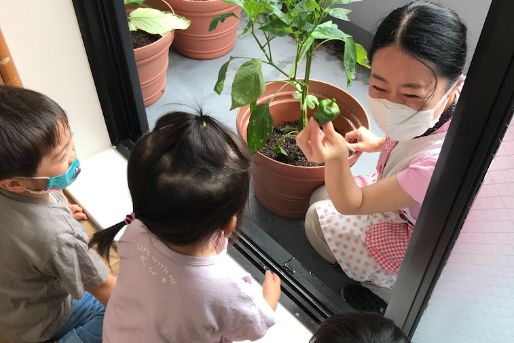 ゆりかご保育園(埼玉県さいたま市大宮区)