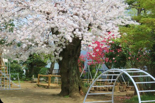 下落合みどり幼稚園(東京都新宿区)