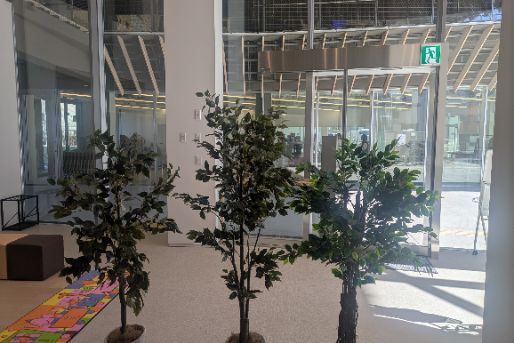 渋谷教育学園 渋谷本町こども園(東京都渋谷区)