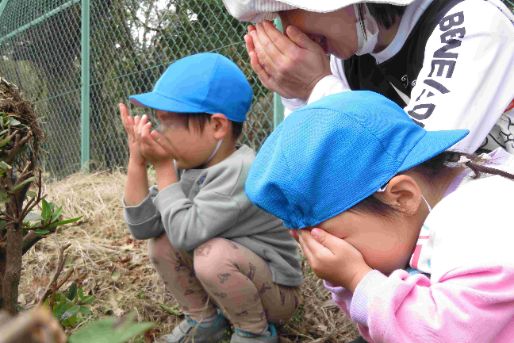 のぞみせや保育園（2026年4月開園）(神奈川県横浜市瀬谷区)