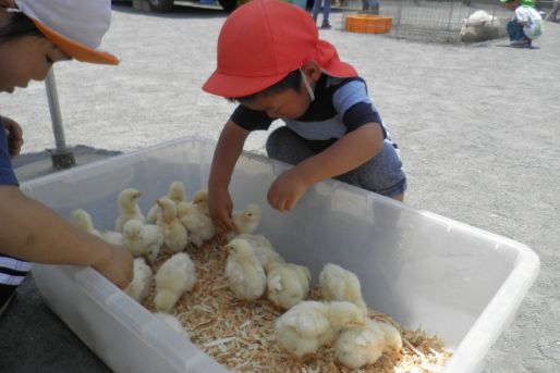 幼保連携型認定こども園　睦町保育園(神奈川県横浜市南区)