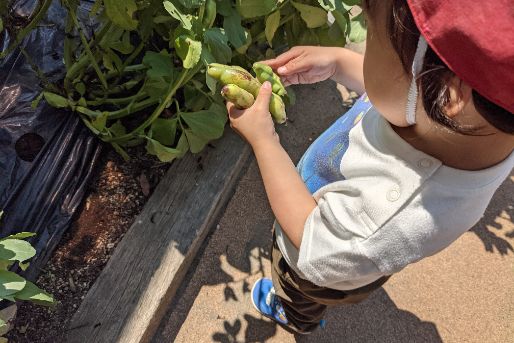 こぶし保育園(東京都板橋区)