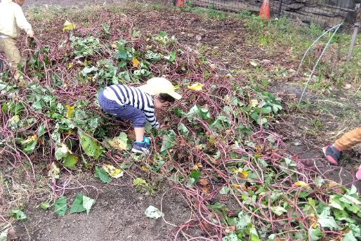 こぶし保育園(東京都板橋区)